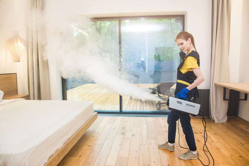 Pest Control Service in Airoli