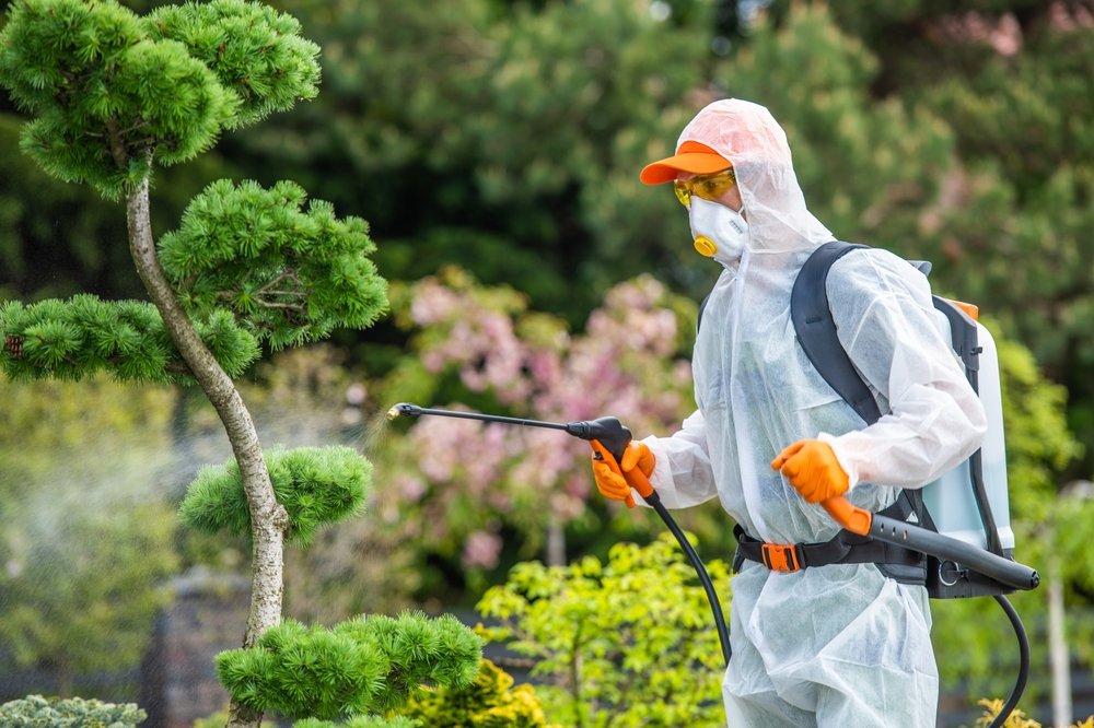 Pest Control Service in Ambarnath