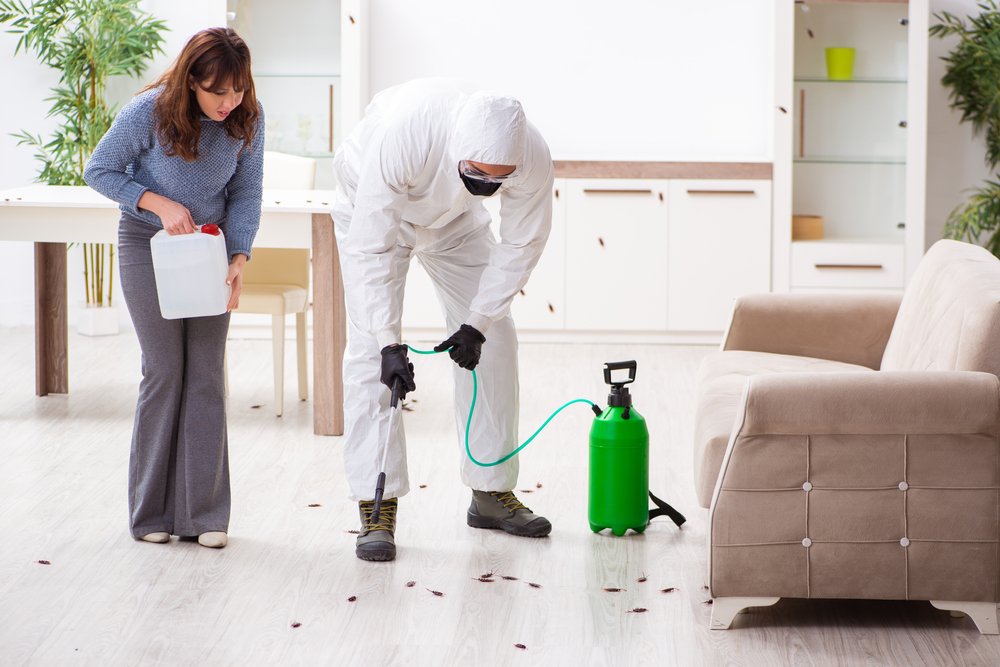 Pest Control Service in Airoli